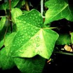 互博 Hooball 客户端:畅享全球体育赛事的最佳选择 50vvf8c