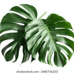 乐虎老虎机平台:畅享刺激游戏体验与丰厚奖励 585c3