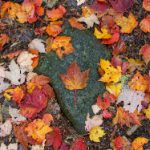 九五至尊游戏平台下载指南:轻松安装与注册步骤解析 s4j9a43y7e