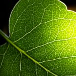 乐虎体育平台:畅享全球体育赛事的最佳选择 tc4h04