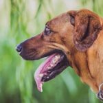 乐通118官网:安全可靠的游戏平台,畅享无限乐趣 u3p97cs0zy