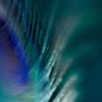 九乐棋牌官方下载:带你体验最刺激的在线棋牌对战游戏 w5d72xk3s